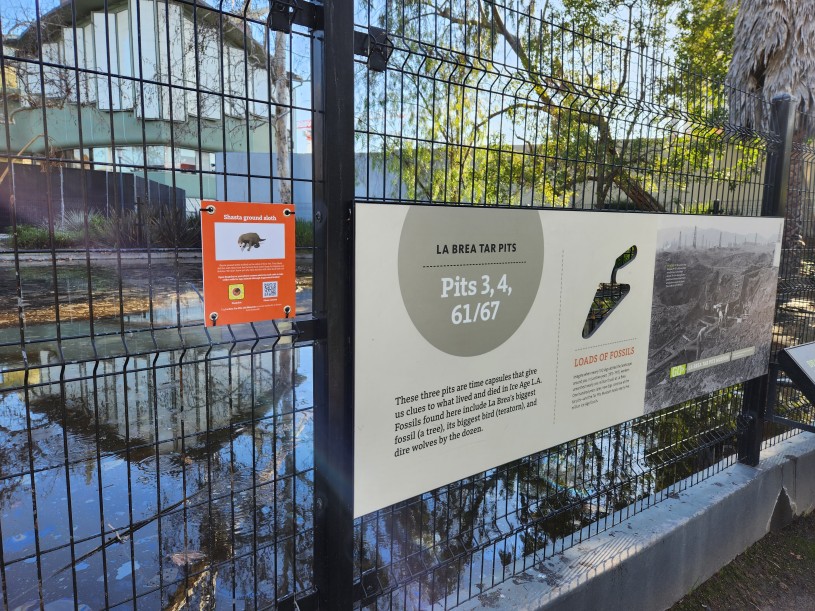 Signage on a fence with text and Shasta ground sloth illustrations