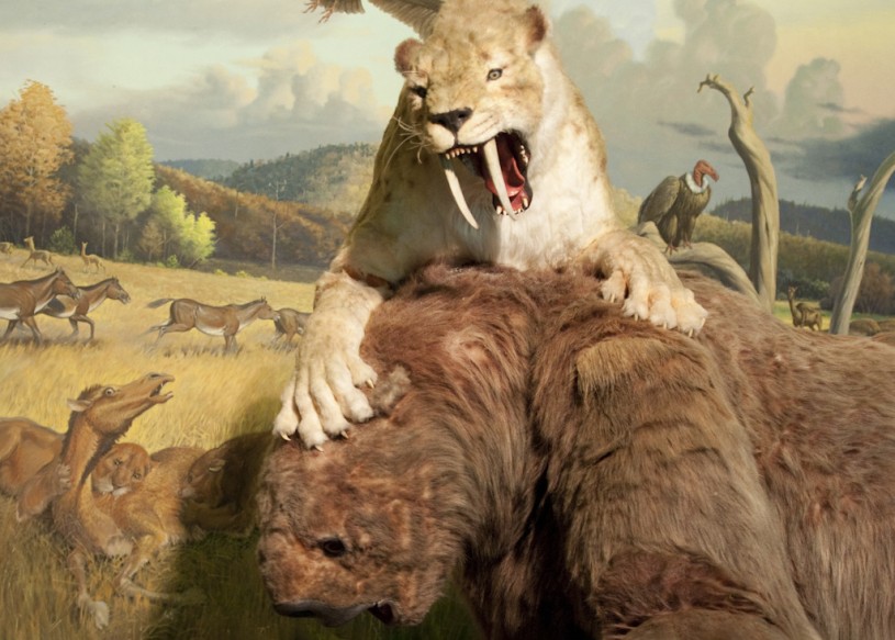 Replica saber-toothed cat  and sloth animatronic