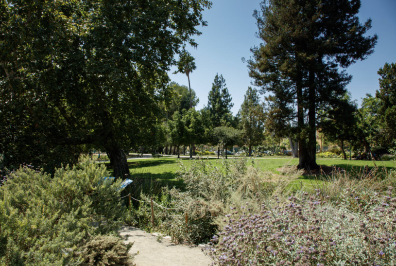 View of the Pleistocene Garden and walkway at the Tar Pits.