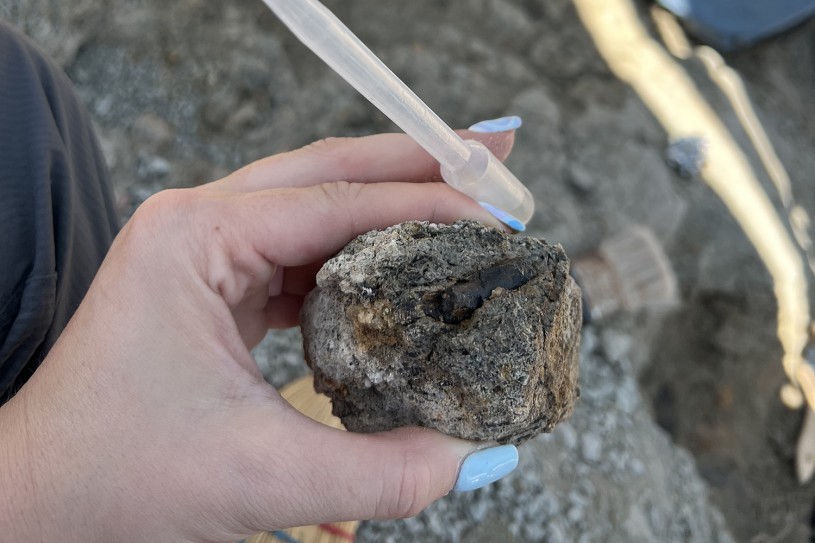 Closeup of a hand with blue fingernails holding a clear pipette and a dinosaur fossil inside a rock