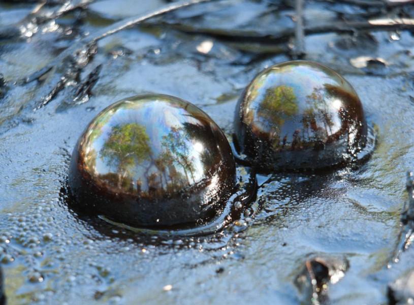 Two bubbles from the Lake Pit 