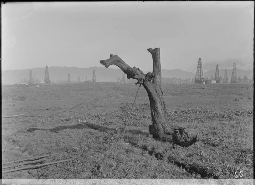 A black and white photo of a tree without any branches in an oil field
