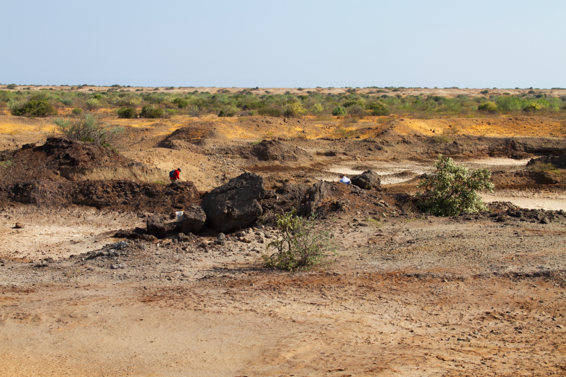 A man in a red shirt walks a desert landscape