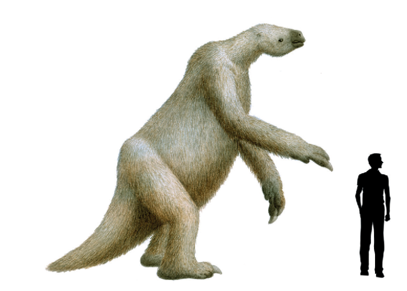 An illustration of a giant sloth eremotherium next to a black silhouette of a human