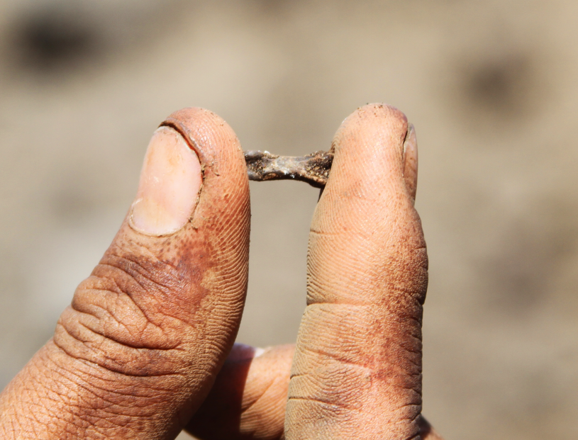 A tiny bone between two fingers