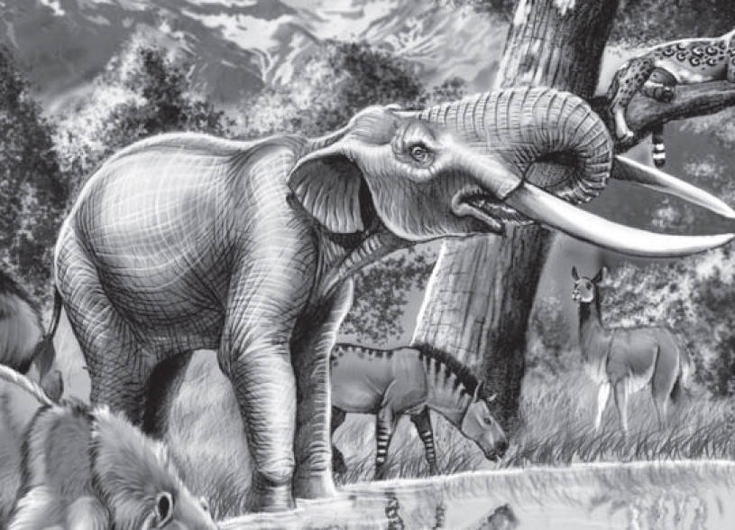 Black and white illustration of ancient elephant Notiomastodon 