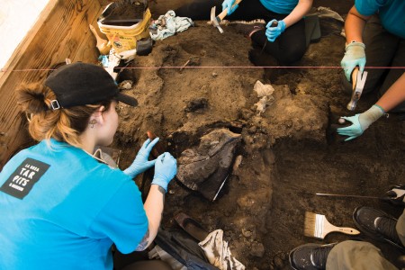 excavations fossils rancho la brea tar pits