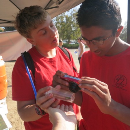 Sheldon Rosenthal and Ayush Saha use a vial to photograph a bumblebee.