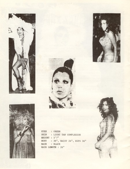 brochure titled "Who is Sir Lady Java?" featuring four photos of Java performing, one headshot of Java, and information about Java’s physical appearance.